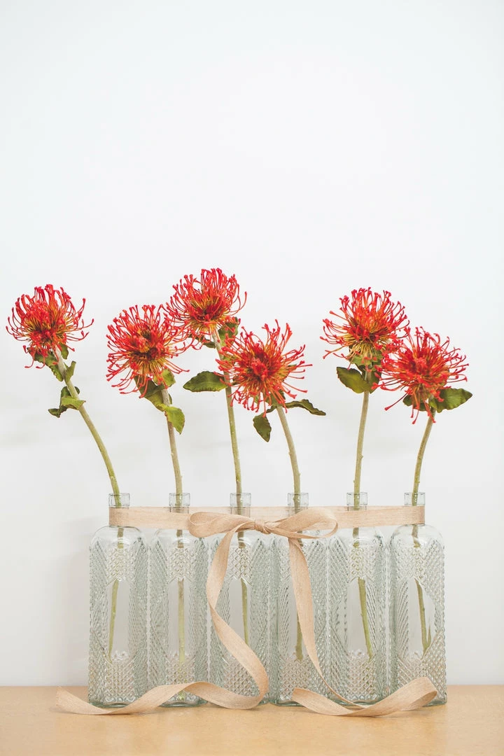 Weddings Richland Glass Textured Bottle Set Of 24 2 Weddings Richland Glass Textured Bottle Set Of 24