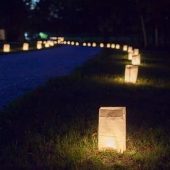 Richland Eastland White Luminary Bags Only Set Of 500