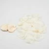 Richland Silk Rose Petals Ivory 10,000 Count