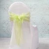 Richland 7"x108" Sage Organza Chair Sash Set Of 10