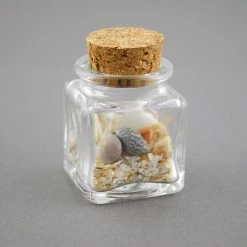 Richland Mini Glass Bottle Square With Cork 1.4oz (Pack Of 24) Weddings