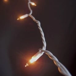 Richland 100 Indoor Mini String Lights 40 Feet White Cord