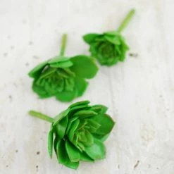 Richland Christmas 3 Mini Succulents Echeverias