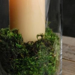 Richland Mood Moss 4 Lbs 1" Thick Natural Christmas