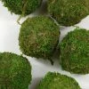Richland Natural Moss Balls 2 Inch (6 Balls)