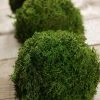 Richland Green Reindeer Moss 4" Balls (set Of 3)