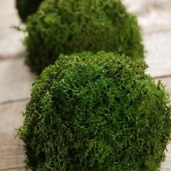 Richland Green Reindeer Moss 4" Balls (set Of 3)