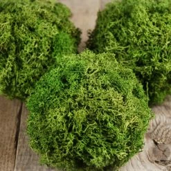 Richland Green Reindeer Moss 4" Balls (set Of 3)