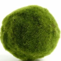 Richland Moss Ball Artificial 5in Christmas