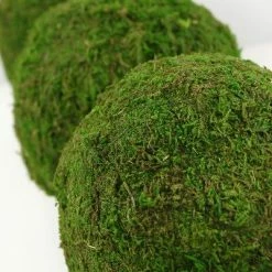 Richland Moss Ball Natural 6in