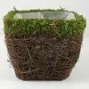 Richland Moss And Wicker Square Pot 5in Easter