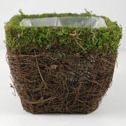 Richland Moss And Wicker Square Pot 5in Easter