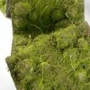 Richland Weddings Moss Runner Artificial 12" X 72"