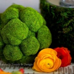 Richland Bumpy Moss Ball 5in Christmas