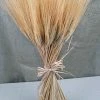Richland Triticum Wheat Bundle Natural 34 Inch Shop By Event