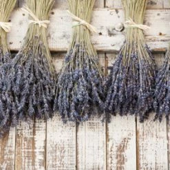 Richland Naturals & Florals Natural Lavender Buds Stems Fragrant 120 Stems