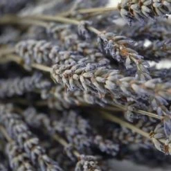 Richland Naturals & Florals Natural Lavender Buds Stems Fragrant 120 Stems