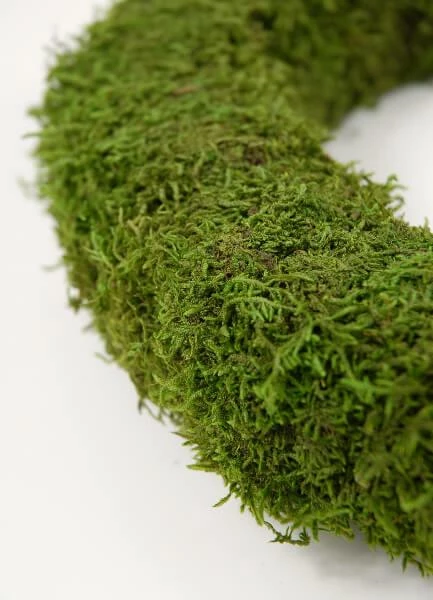 Richland Preserved Moss 12" Wreath Seasonal Parties 2 Richland Preserved Moss 12" Wreath Seasonal Parties