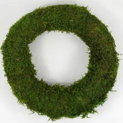 Richland Preserved Moss 12" Wreath Seasonal Parties