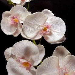 Richland Real Touch White Orchid Phalaenopsis Stem 38in