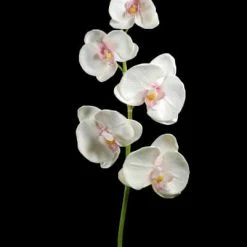 Richland Real Touch White Orchid Phalaenopsis Stem 38in