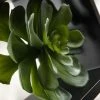 Richland Echeveria Green Natural Touch Succulent 6in Christmas