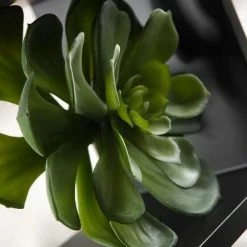 Richland Echeveria Green Natural Touch Succulent 6in Christmas