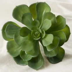 Richland Echeveria Green Natural Touch Succulent 6in Christmas
