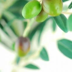 Richland Olive Tree Branch Green 28in Artificial