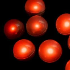 Richland Orange Fairy Berries (pack Of 10) LED Light Orbs Lighting
