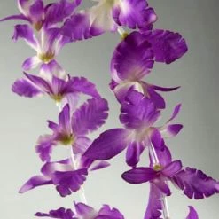 Richland 12 Purple Orchid Flower Leis Flowers