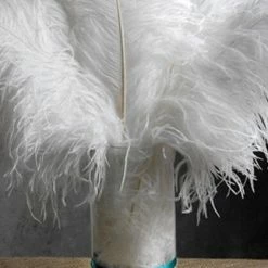Richland Shop By Event 12 White Ostrich Feathers 9-13in