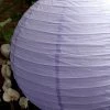 Richland Lavender 8" Paper Lanterns (pack Of 10) Reception