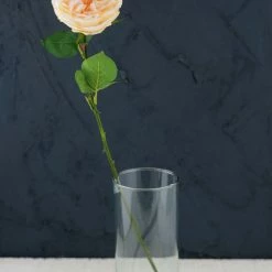 Richland Valentine's Day 12 Long Stem Peach Roses