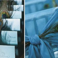 Richland Shop By Event Peacock Eye Feathers 8-12in (Pack Of 100) Bulk Buy