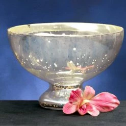 Richland Shop By Event Bowl Glass Pedestal Silver Mercury 7.25in