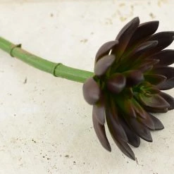 Richland Seasonal Parties Faux Succulents Burgundy 9" Echeveria