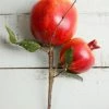 Save-On-Crafts Pick Pomegranate 9in Red/Yellow Seasonal Parties