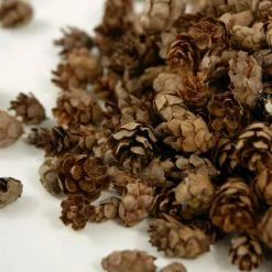 Richland Pine Cones Hemlock 3qrts 1000 Cones Seasonal Parties