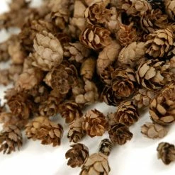 Richland Pine Cones Hemlock 3qrts 1000 Cones Seasonal Parties