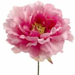Richland Pink Silk Peony (6" Wide) Flower Heads (Bouquet Of 24)