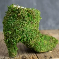 Richland Moss Covered Ladies Boot 7" Topiary Planter