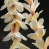 Richland Silk Lei Cream Plumeria Flowers 48in Frangipani Fall