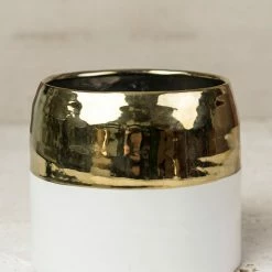 Richland Seasonal Parties White And Gold Ceramic Claire Vase & Pot 5.75'' X 5''