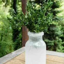 Richland Preserved Boxwood Bundle In Natural Green 5oz. Christmas