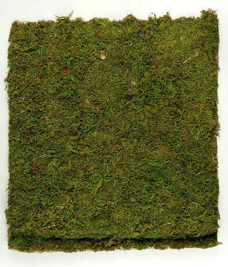Richland Christmas Preserved Natural Moss 18" X 16" Roll 1 Richland Christmas Preserved Natural Moss 18" X 16" Roll