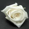 Richland Preserved Roses White 1in (15 Roses)