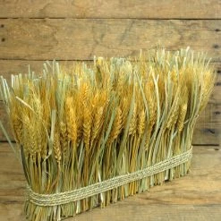 Richland Shop By Event Natural Preserved Wheat Bundle 10"x 15"