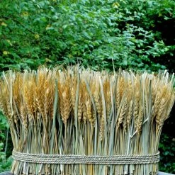 Richland Shop By Event Natural Preserved Wheat Bundle 10"x 15"