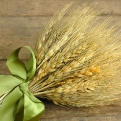 Richland Natural Preserved Wheat Bouquet 9.5in